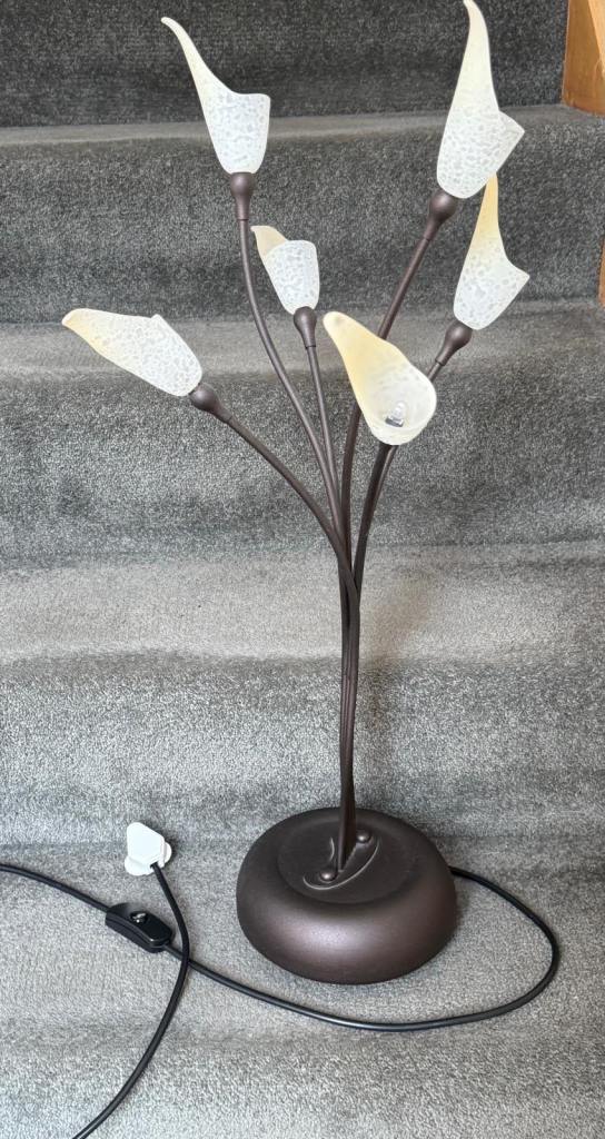 Stylish Floor and table Lamp with 6 Frosted Shades – Good Condition