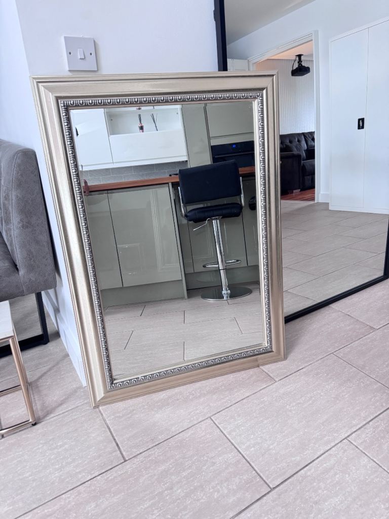 Large Gold & Silver Ornate Framed Mirror – 76cm x 118cm