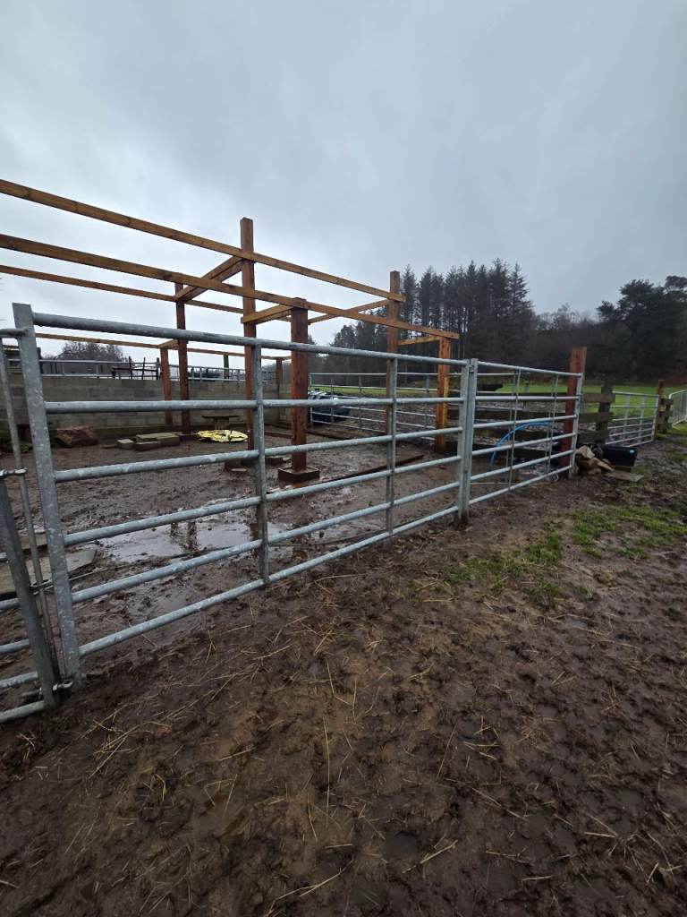Galvanised 3m long cattle gates