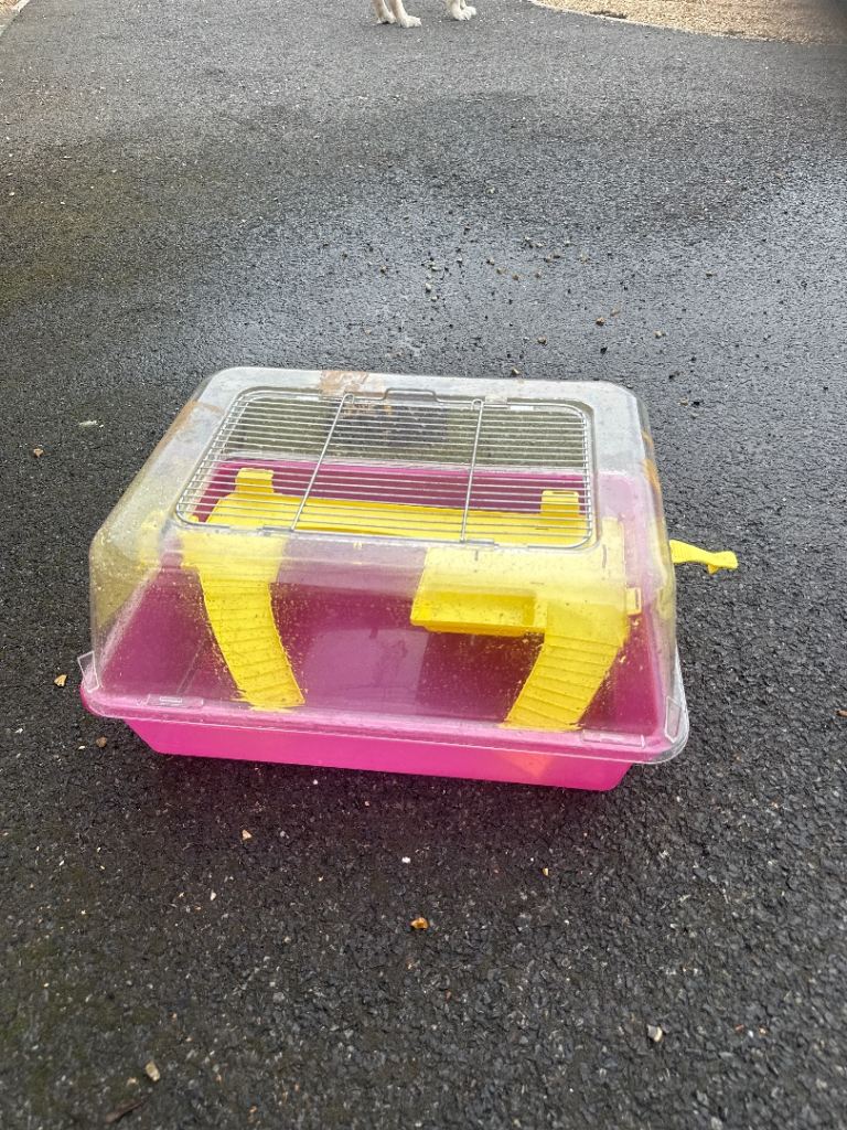 Hamster Cage 
