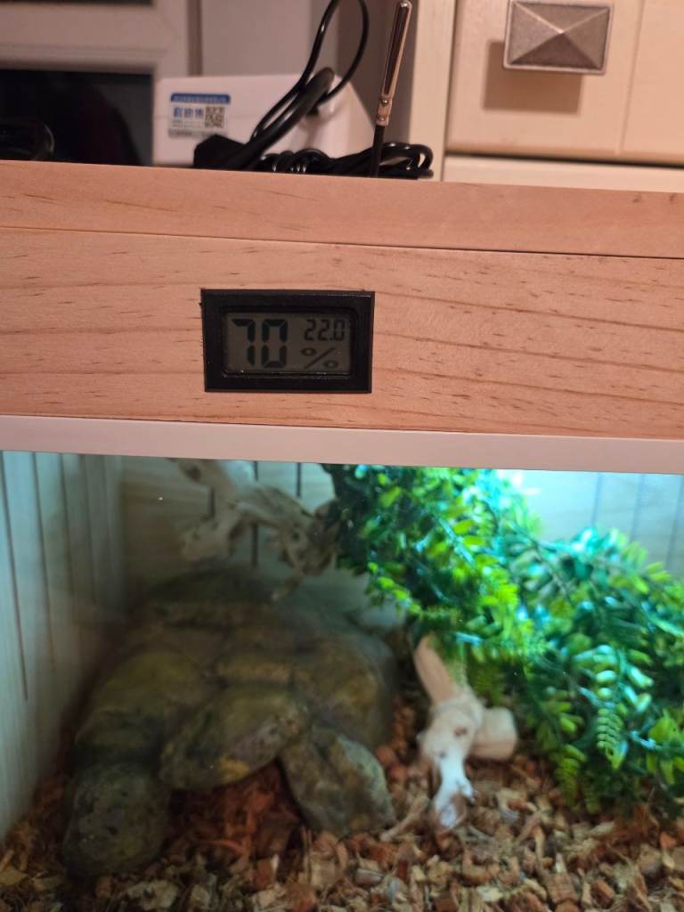 New 80x40x40cm vivarium full set up