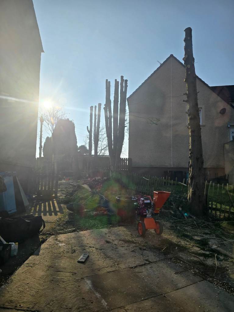 Wood chipper for hire