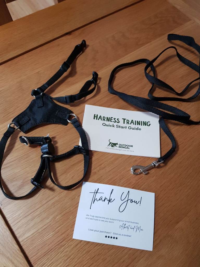 Cat Harness (M size) - Outdoor Bengal - Houdini Escape Proof Cat Harness