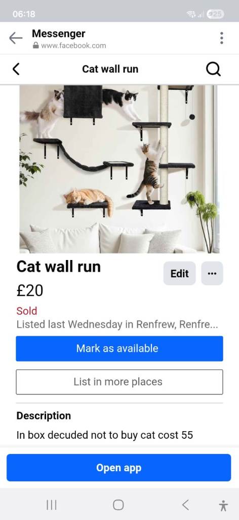 Cat wall run