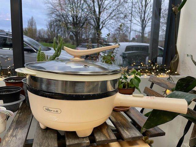 image for Electric Steamer & Hot Pot – Multifunctional 2-in-1 Cooke