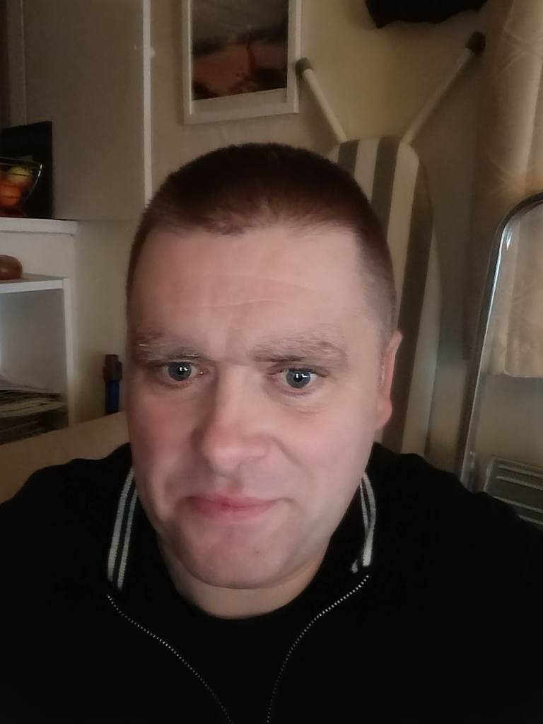 Cat sitting/feeding/etc./Dog walking 