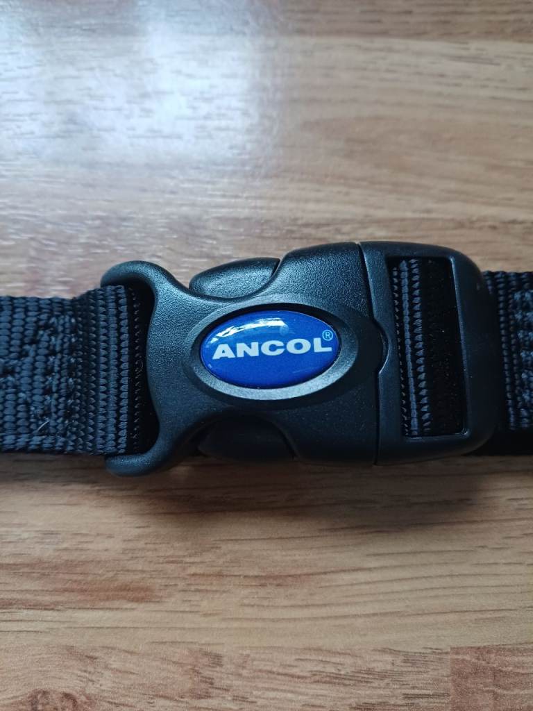 Ancol Dog Lead & Travel Strap 