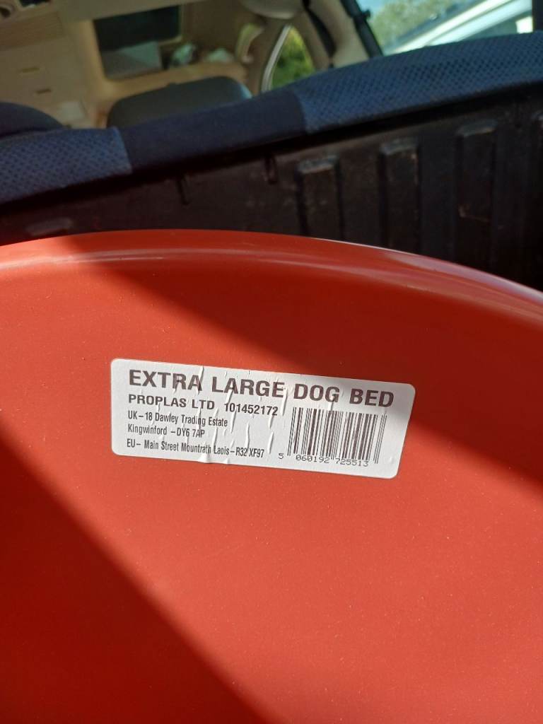 Free dog bed 