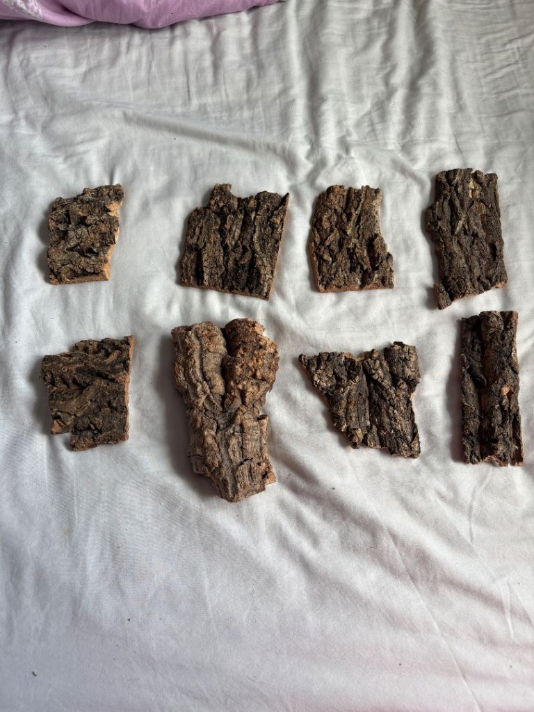 Reptile vivarium cork for snakes bearded dragons etc 