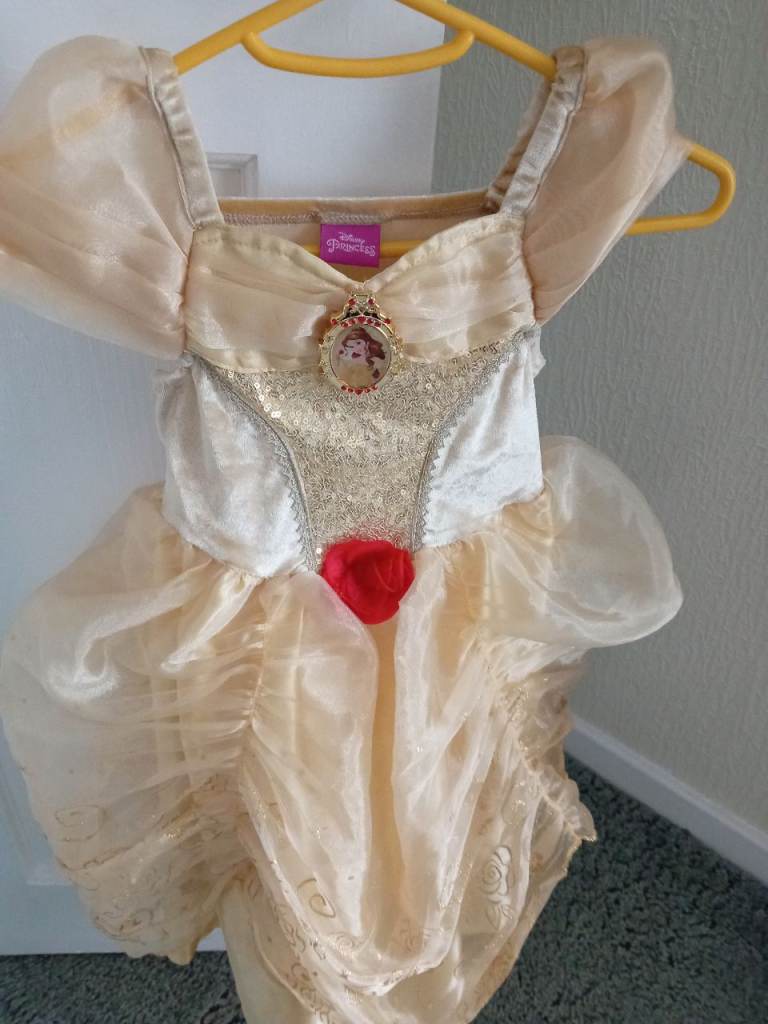 Disney Princess dress 