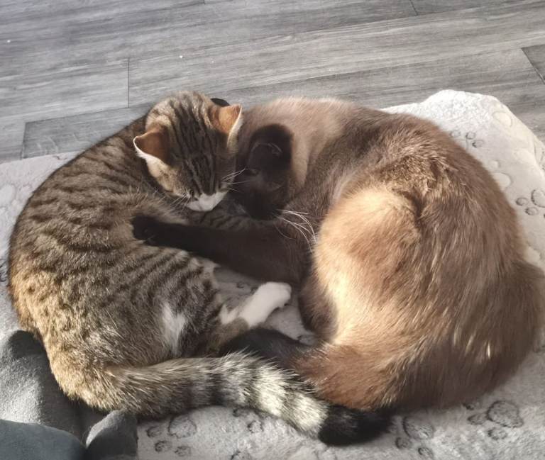 Sasha&timber