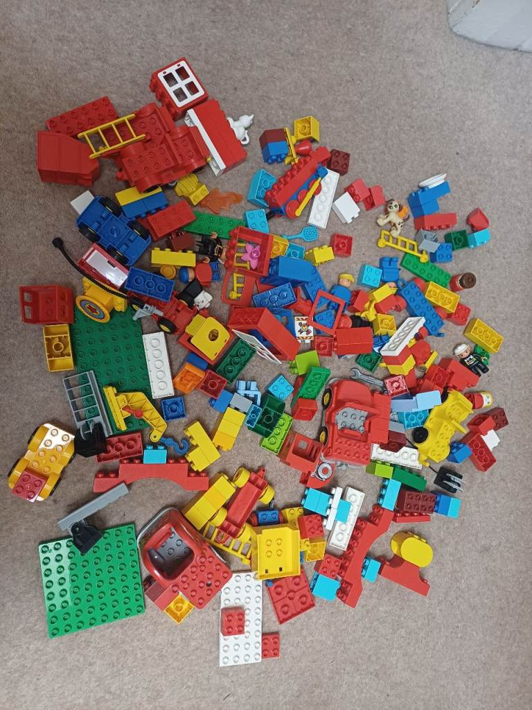 Duplo job lot