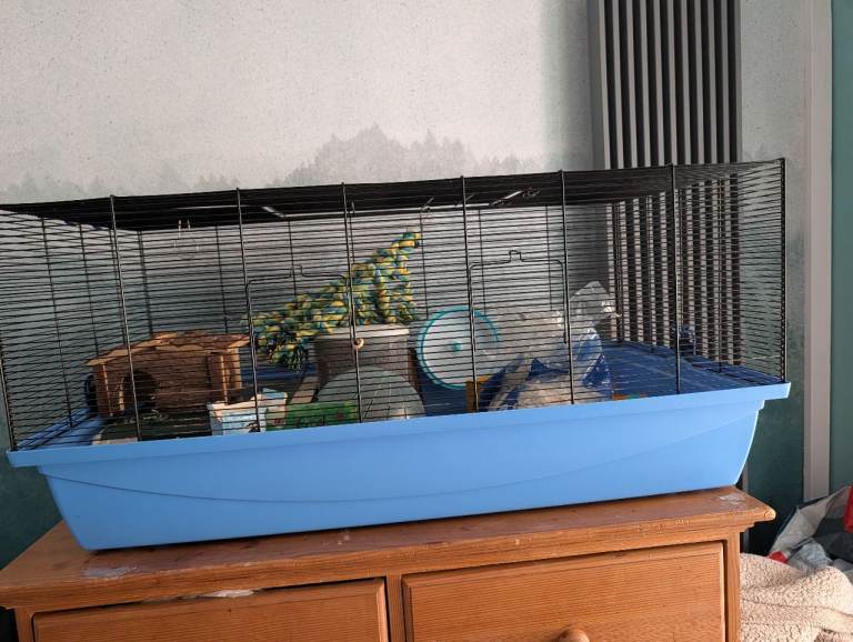 Large hamster cage and accessories 