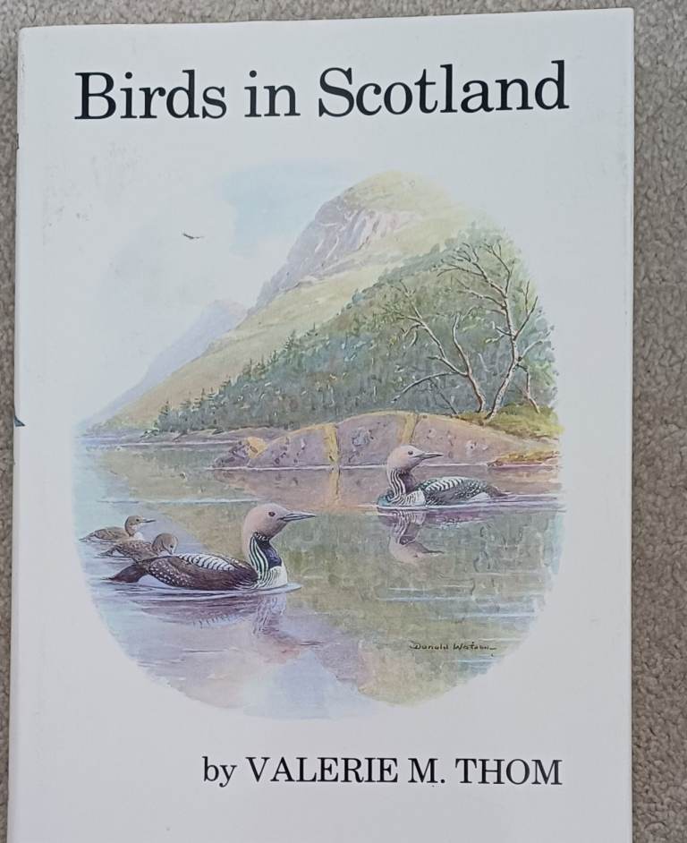 Birds in Scotland