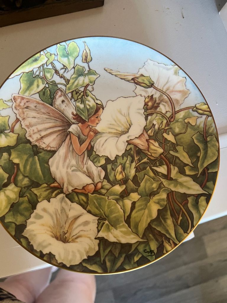 Fairy plates 