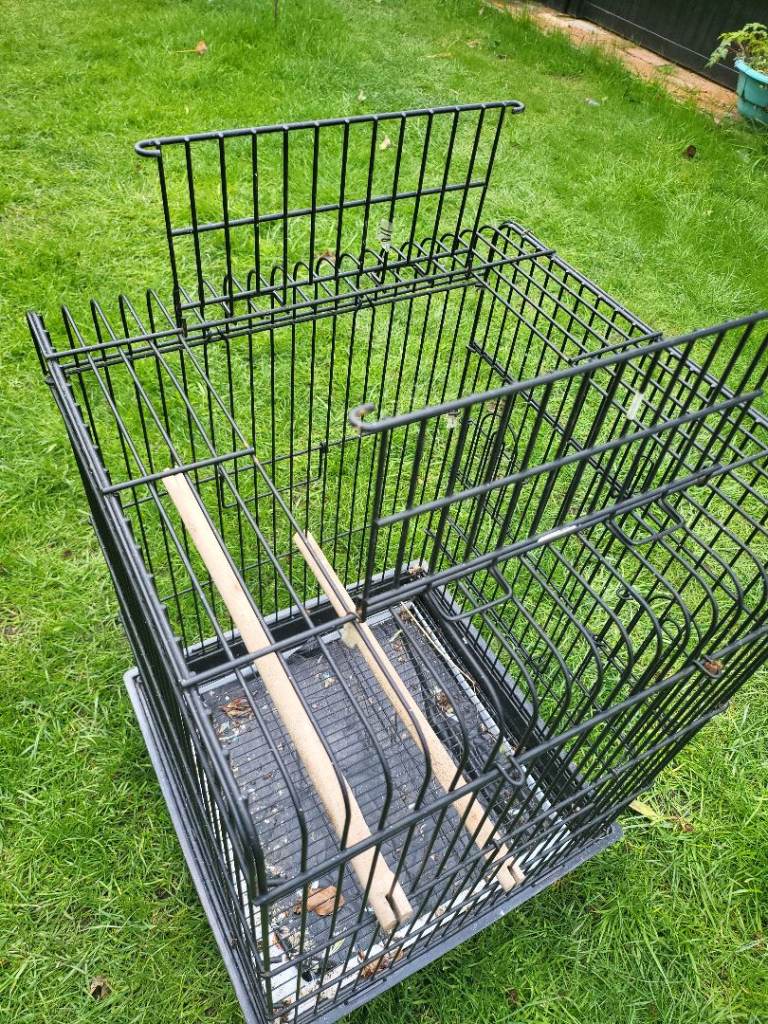Parrot bird cage
