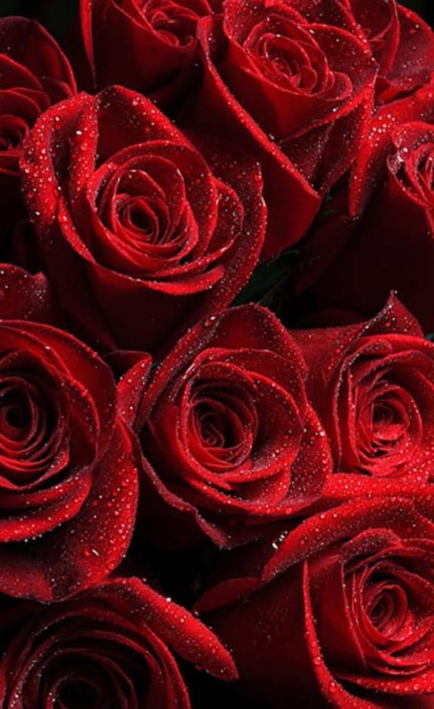 Massages 💆‍♀️ 