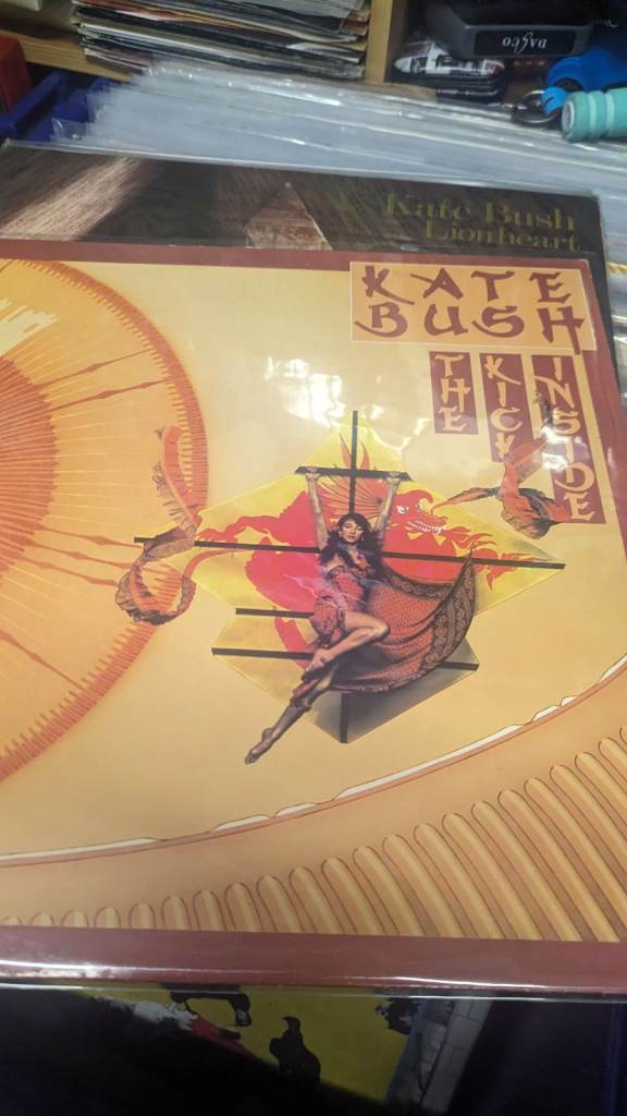 Kate Bush vinyl records £35 each 
