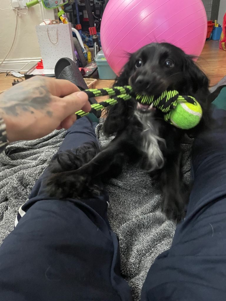 Looking for new forever home 