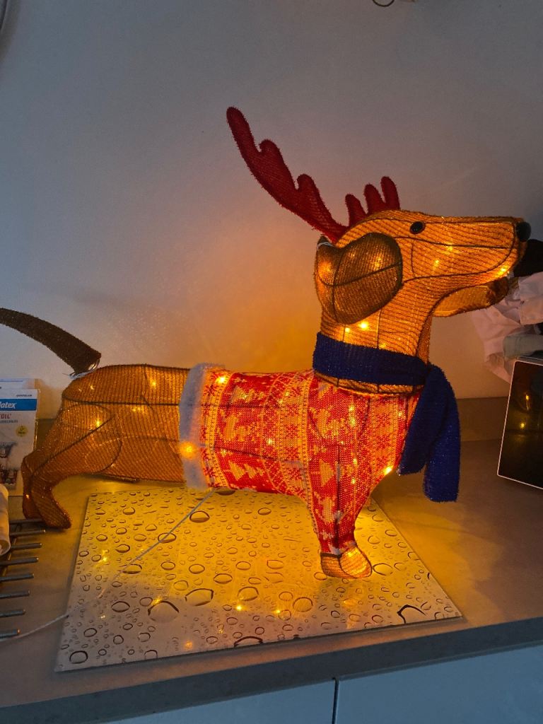 Sausage dog light up Christmas decoration 