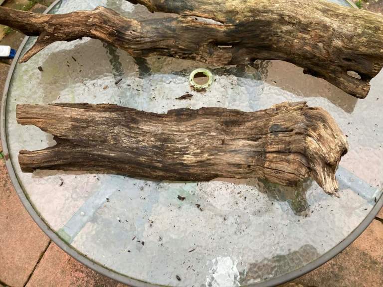 vivarium terrarium wood pieces