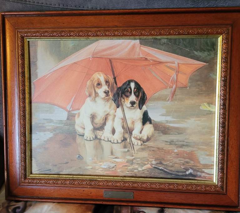 Dogs Under Umbrella, Framed Picture