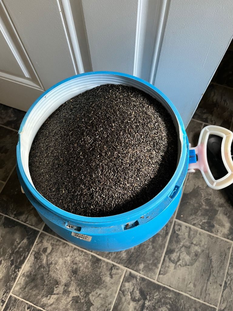 Niger bird food