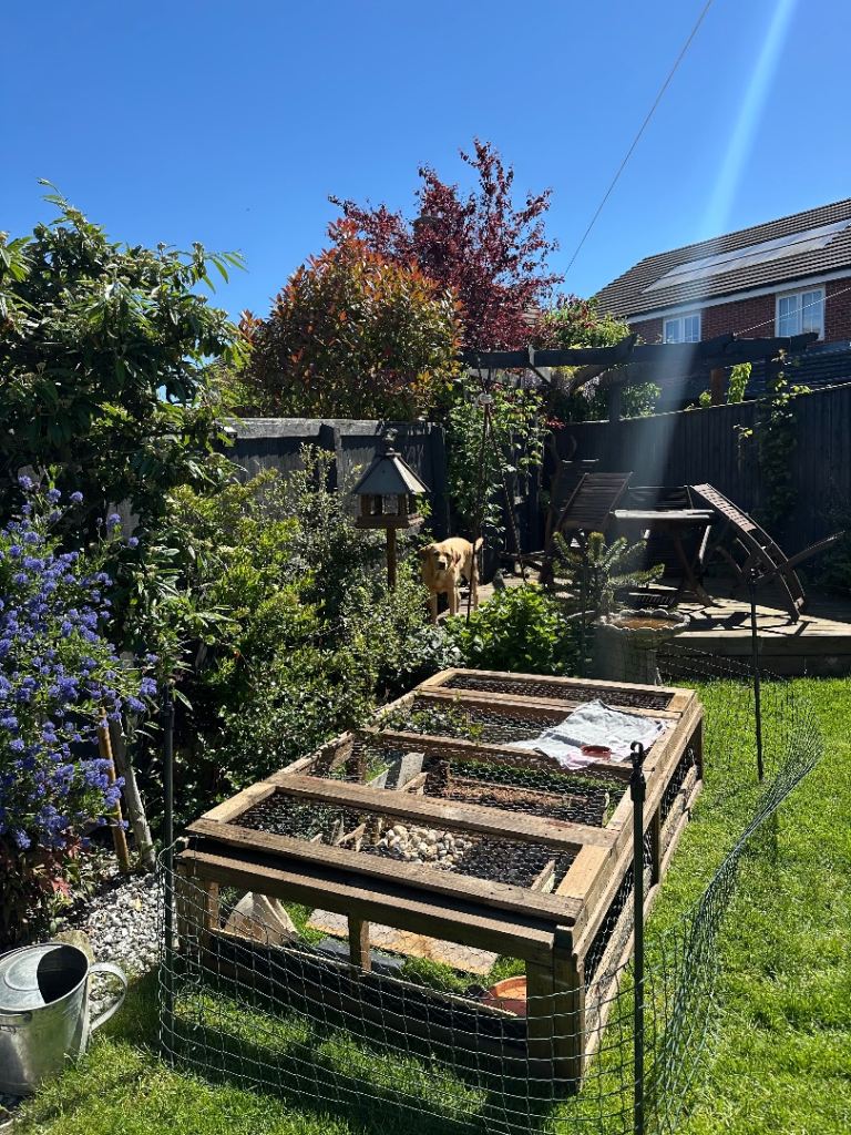 Large mesh rabbit, chicken run 