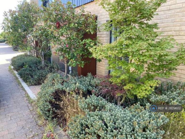 2 bedroom house in Elm Road, Cambridge, CB2 (2 bed) (#2829602)