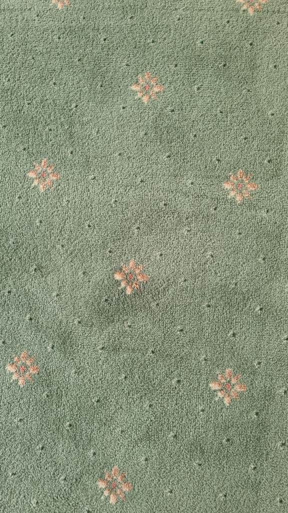 Green Patterned Carpet 4.79m x 5.06m Good Condition