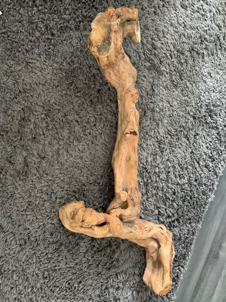 Reptile wood  