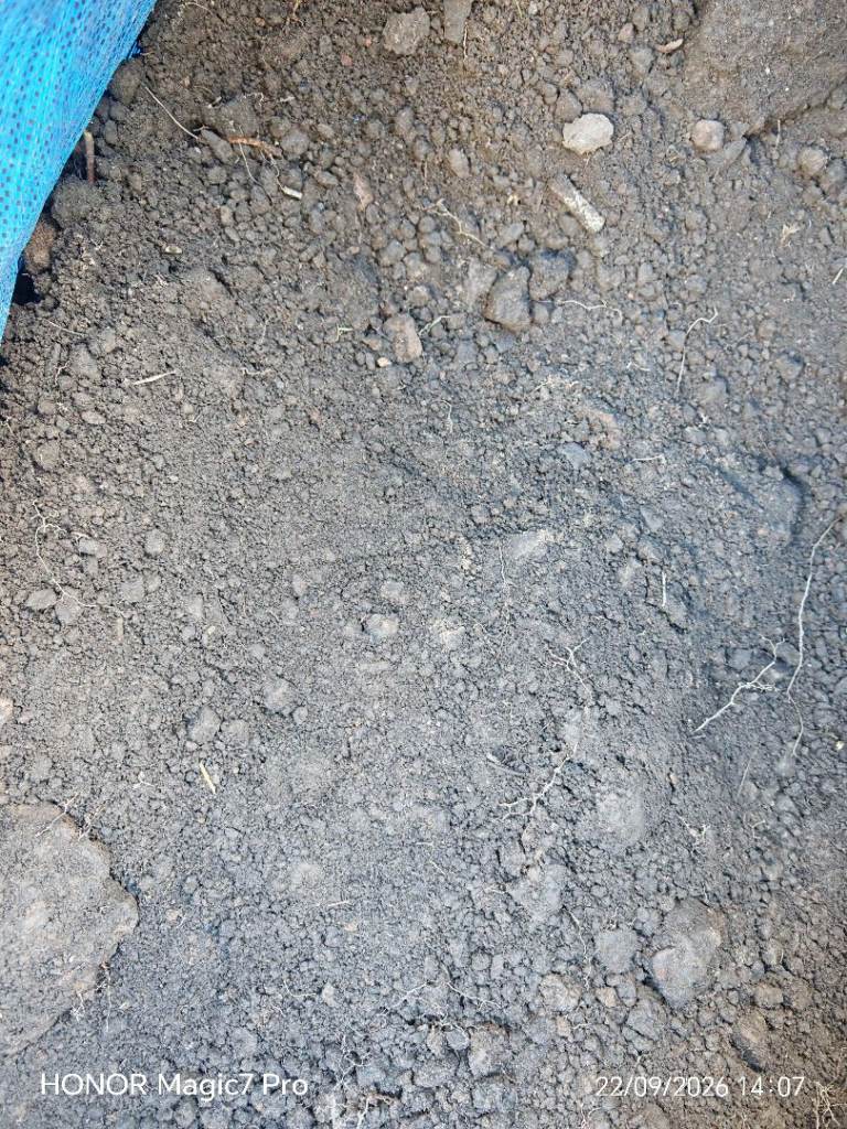 FREE Topsoil/Garden Soil – Good for Gardening Projects