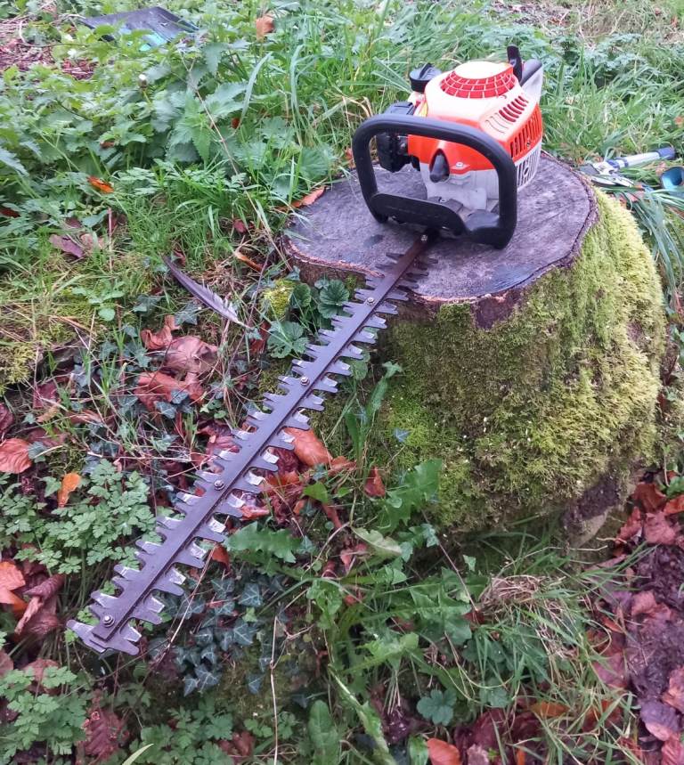 Stihl HS45 petrol hedge trimmer