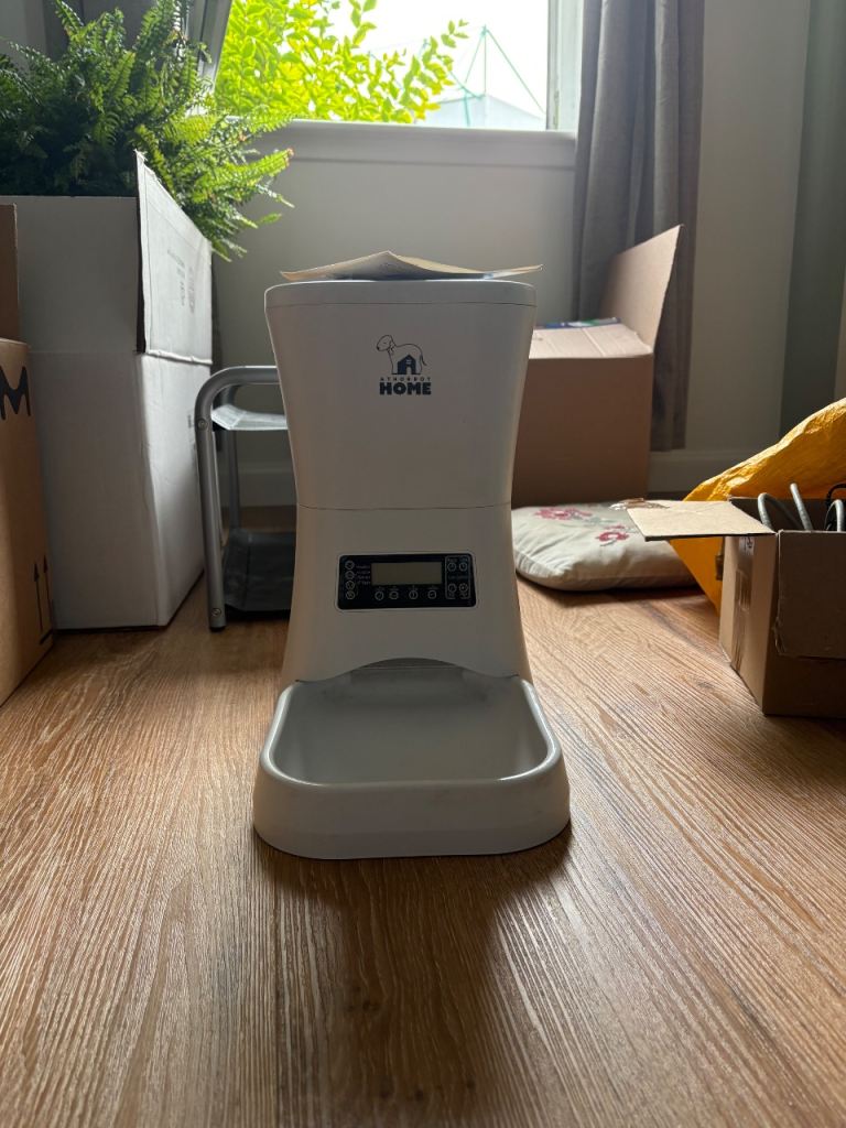 Automatic kibble feeder