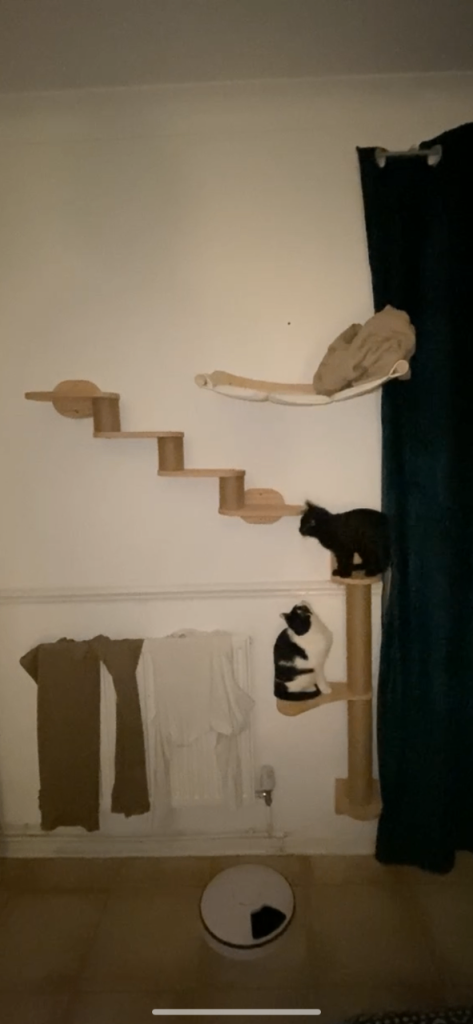 Cat three piece wall furniture 