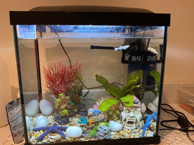 Small  fish tank with accessories