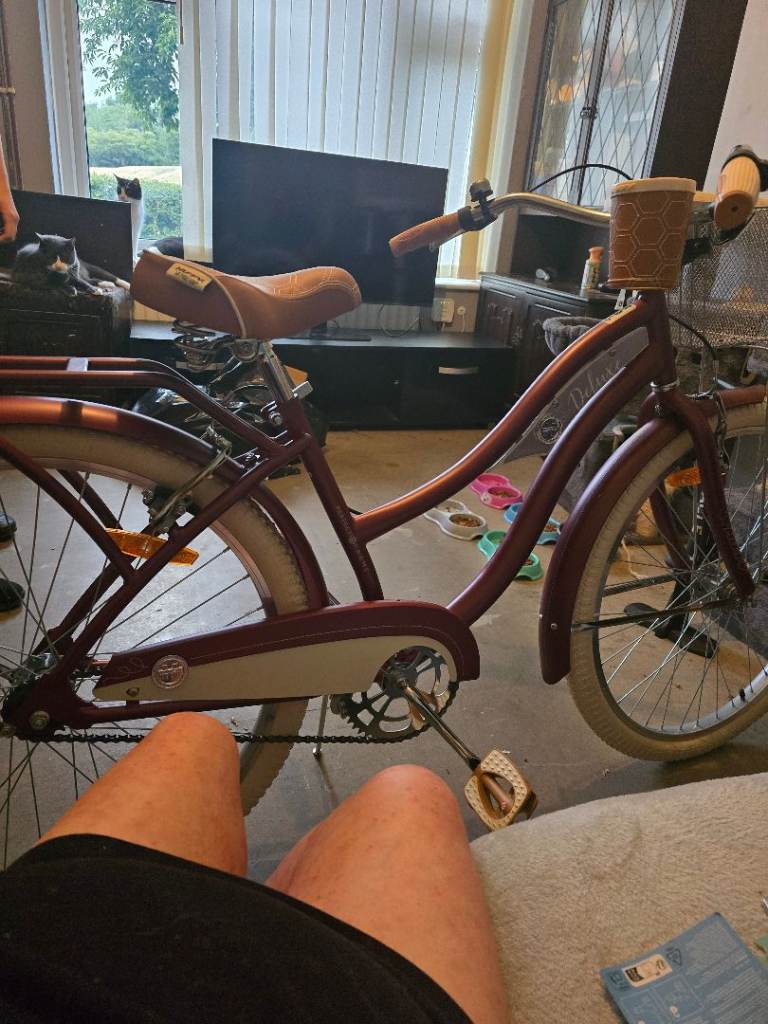 Womens Bike with Basket – Road Once, Excellent Condition