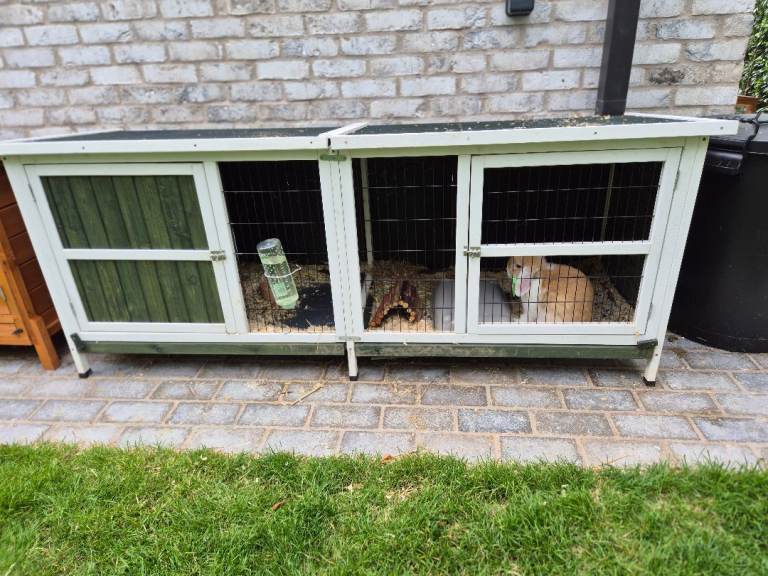 Rabbit cage 
