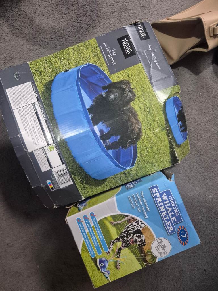 Dog paddling pool and sprinkler