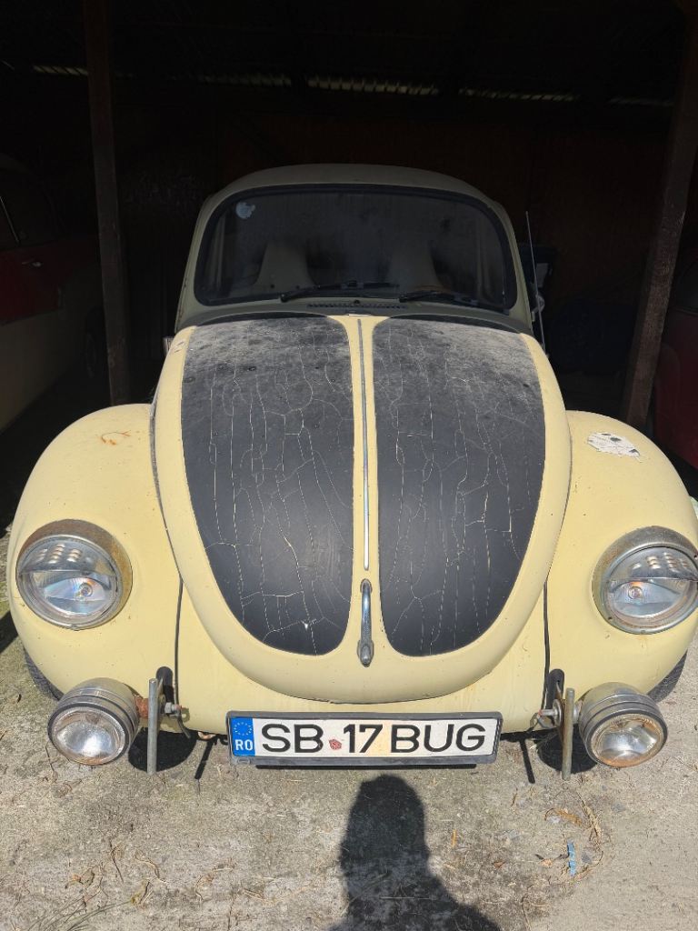 Vw beetle 
