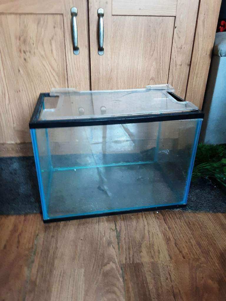 Small Glass Fish Tank / Aquarium – Good Condition