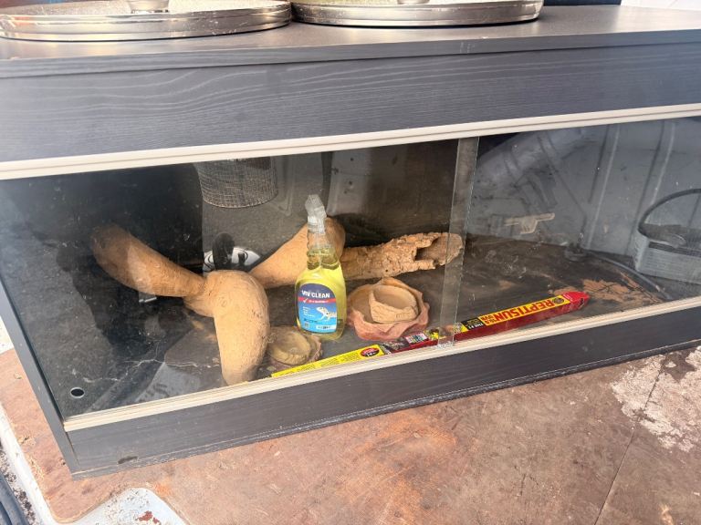 Vivarium Tank with thermostat spare bulb etc included 