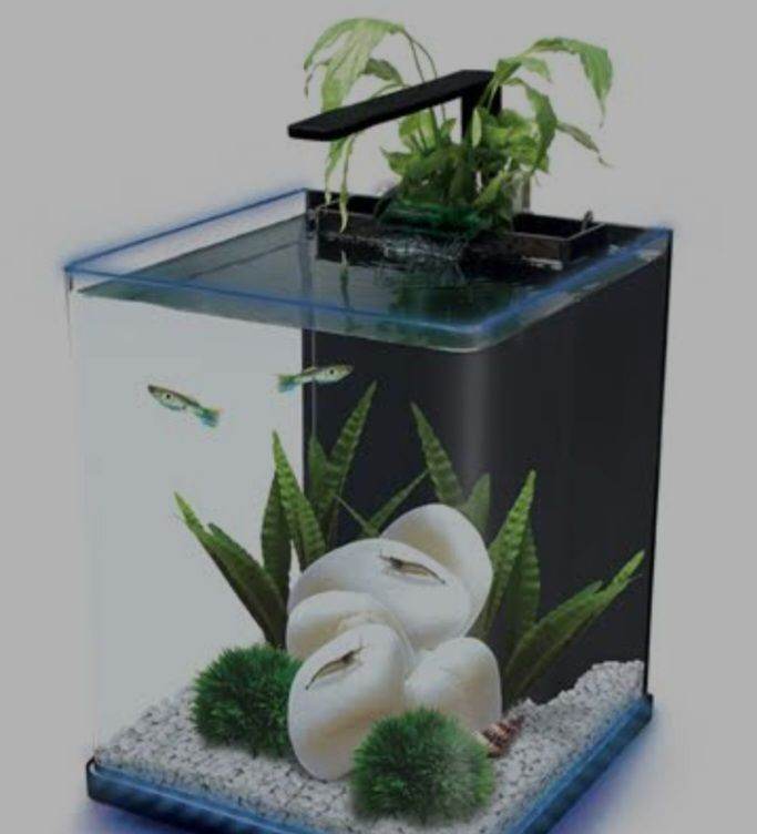 Fish tank - Interpet edge glow 18 litres