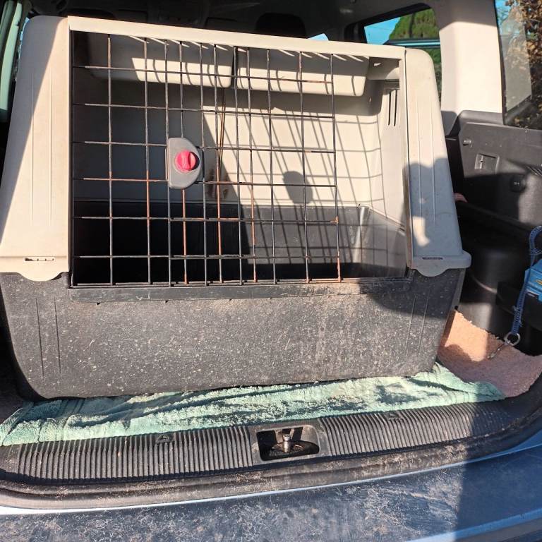 Car transport box for dogs