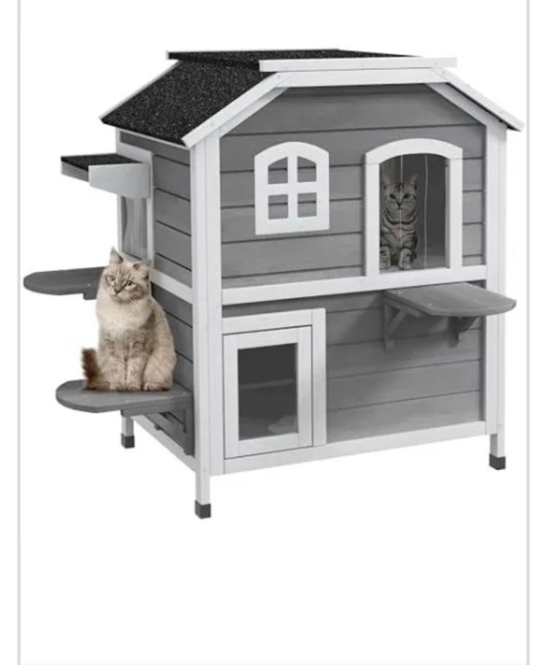 Cat house 