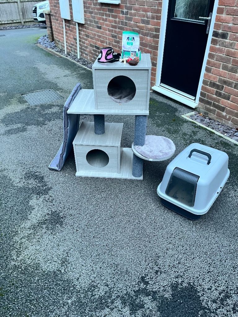 Cat kitten accessories bundle grey