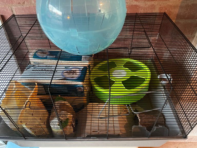 Hamster cage and accessories