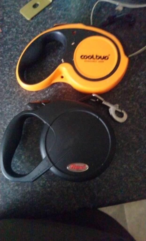 Flexible dog leads 