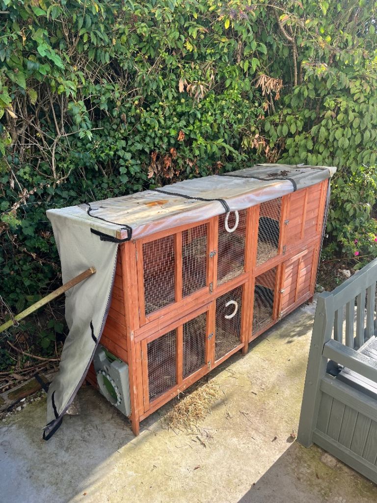 6ft double hutch with omlet tunnel and cover