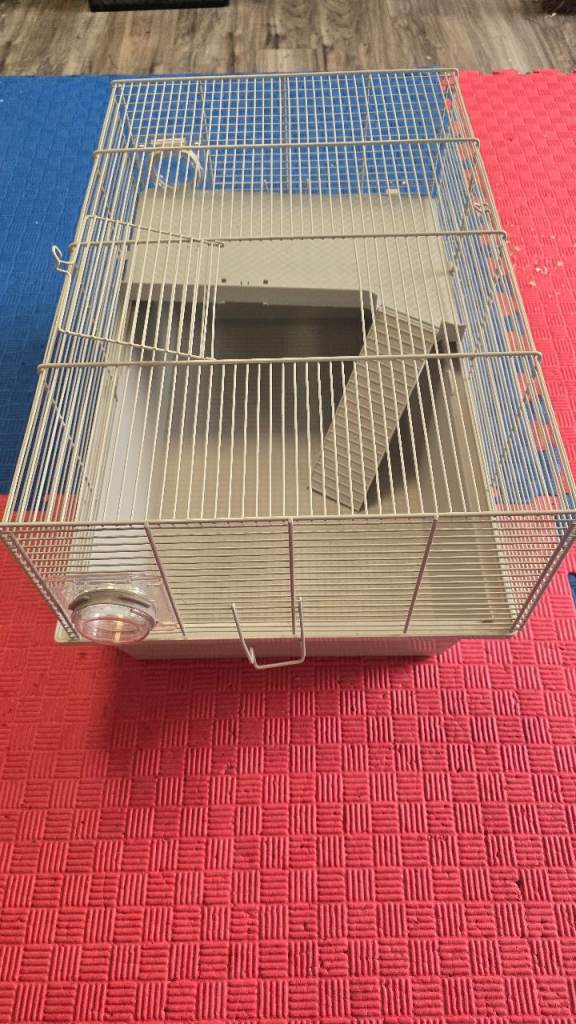 Pets at Home Hamster chae